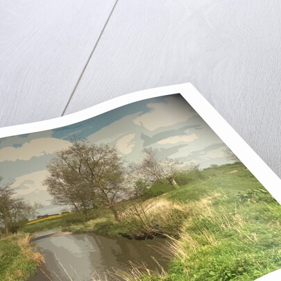 Longford Brook by Sarah Smith