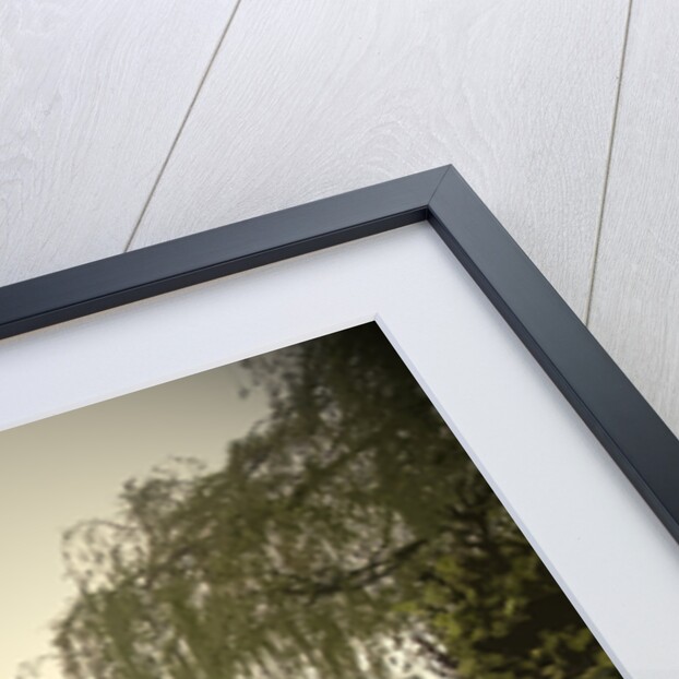 Main Street in Hollington by Sarah Smith