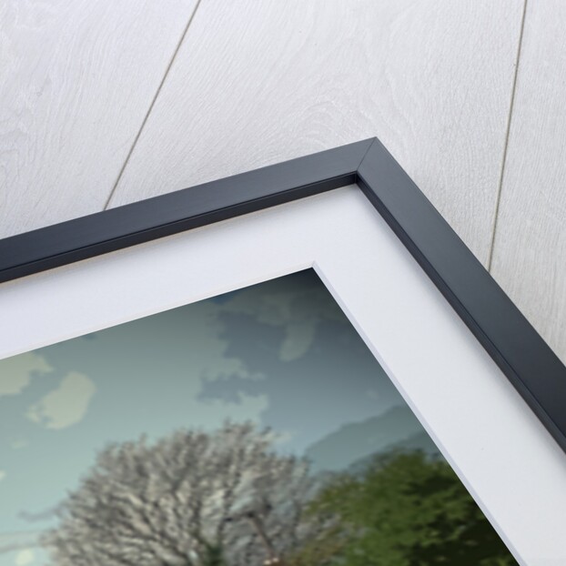 Field of Oil Seed by Padley Wood Lane by Sarah Smith