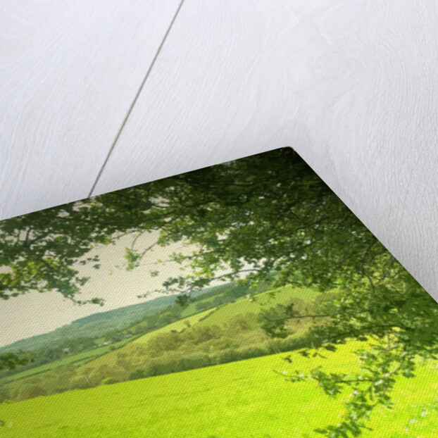 Stretton Hillside by Sarah Smith