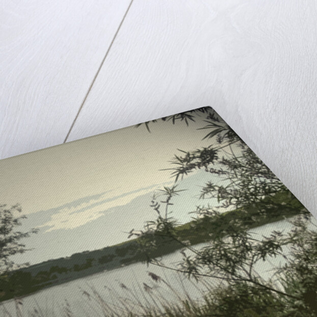 Main Pond at Carr Vale Flash Nature by Sarah Smith