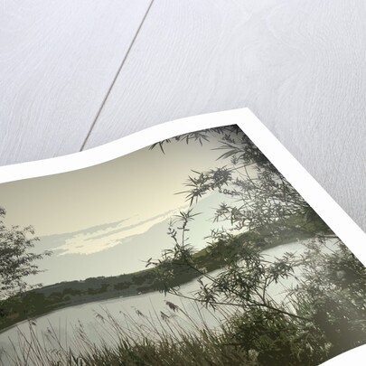 Main Pond at Carr Vale Flash Nature by Sarah Smith