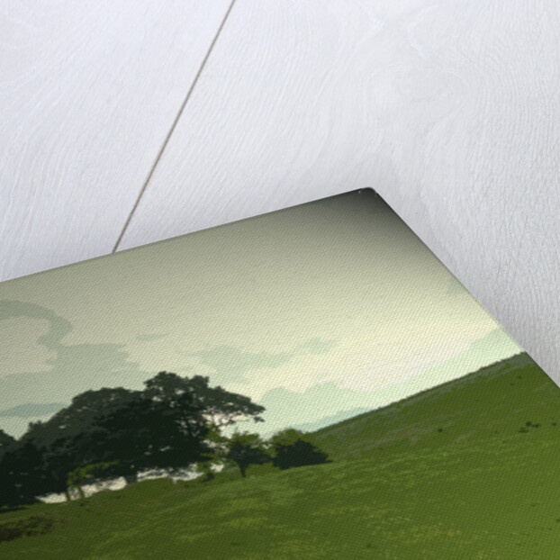 Pasture at Edale End by Sarah Smith