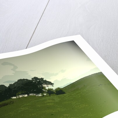 Pasture at Edale End by Sarah Smith