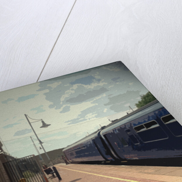 Departing Train at Shirebrook Railway by Sarah Smith