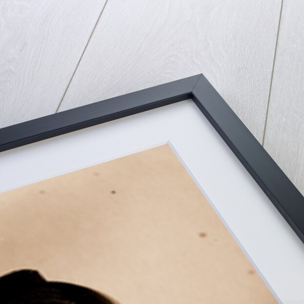 Monument of Schlüsserbourg, Schlisselburg is a town in Leningrad Oblast, Russia by Anonymous