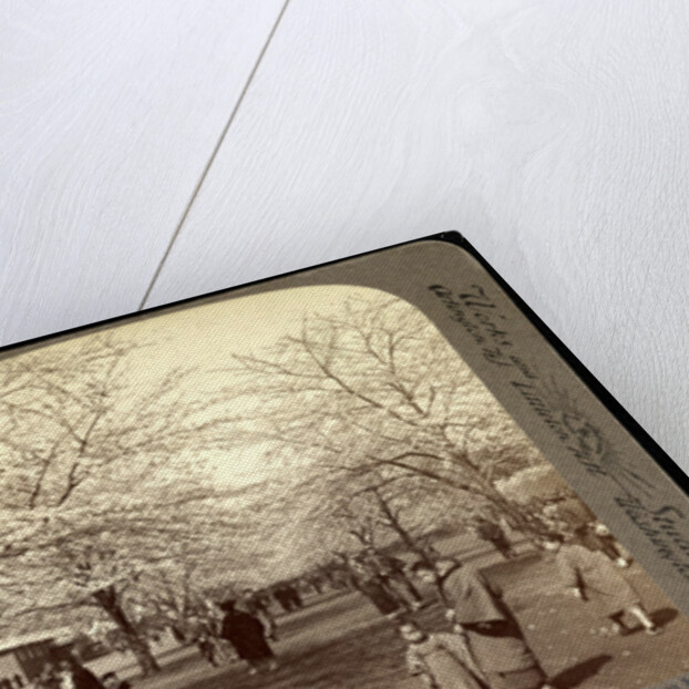 Cherry blossoms, the national flower of Japan, during cherry-bloom holiday week, Uyeno Park, Tokyo by Anonymous