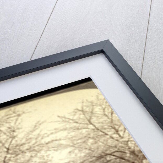 Cherry blossoms, the national flower of Japan, during cherry-bloom holiday week, Uyeno Park, Tokyo by Anonymous