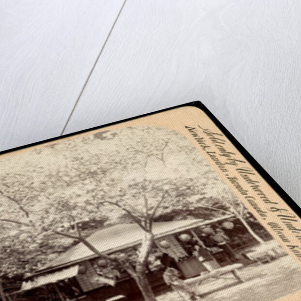 In the heart of the flowery kingdom, Nara, Japan by Anonymous