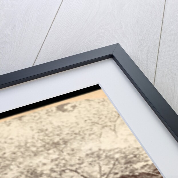 In the heart of the flowery kingdom, Nara, Japan by Anonymous