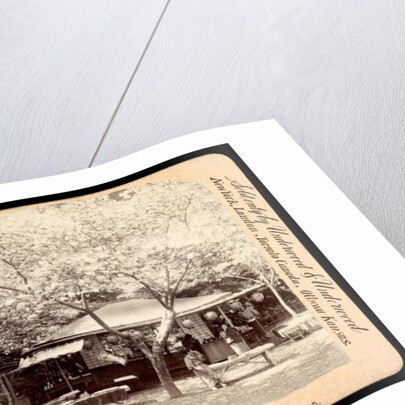 In the heart of the flowery kingdom, Nara, Japan by Anonymous