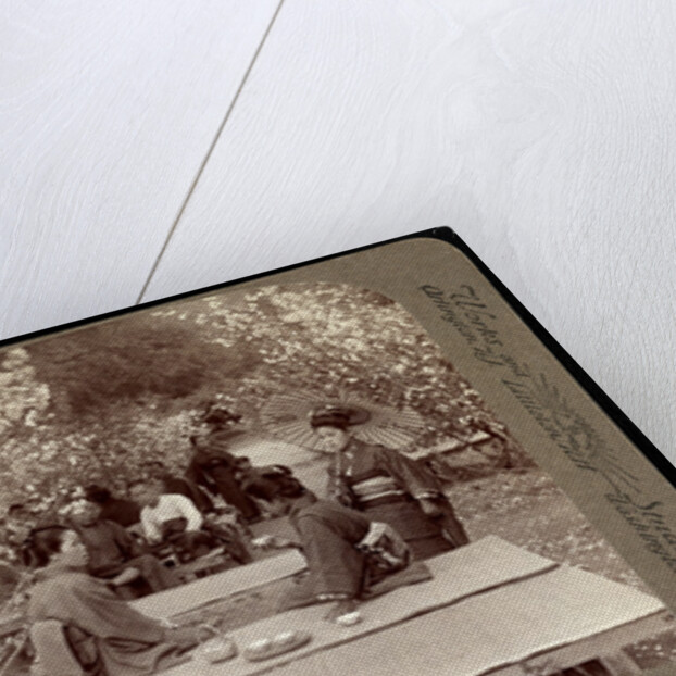 Amidst the beauties of springtime: dwarf cherry trees at Omuro Gosho temple, Japan by Anonymous
