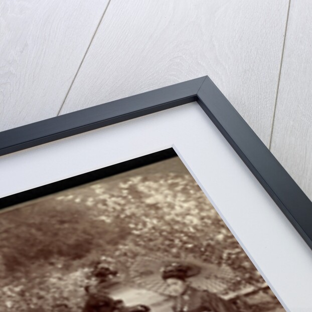 Amidst the beauties of springtime: dwarf cherry trees at Omuro Gosho temple, Japan by Anonymous