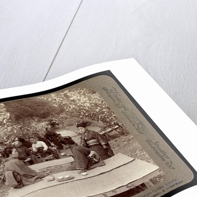 Amidst the beauties of springtime: dwarf cherry trees at Omuro Gosho temple, Japan by Anonymous