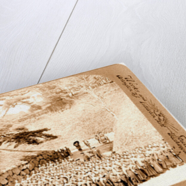 Pupils of a Japanese school off for a holiday among the cherry blossoms, Tokyo by Anonymous