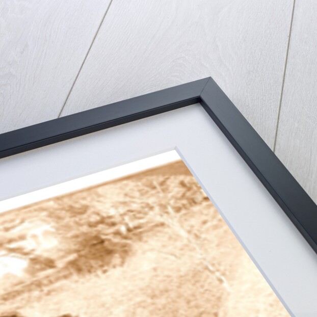 Pupils of a Japanese school off for a holiday among the cherry blossoms, Tokyo by Anonymous