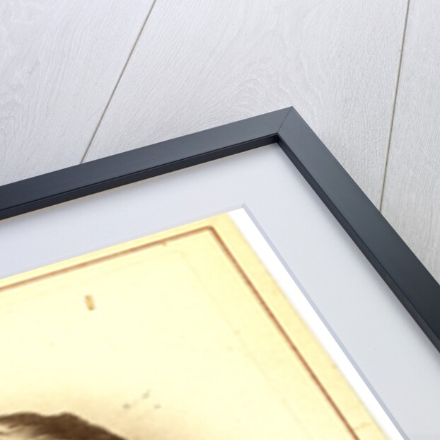 Vladimir Ivanovich Nemirovich-Danchenko by Anonymous