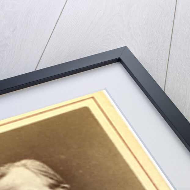 Ivan Petrovich Botkin by Anonymous