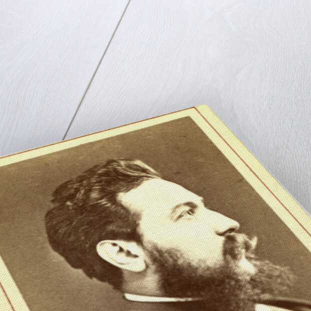 Vsevolod Vladim irovich Krestockii by Anonymous