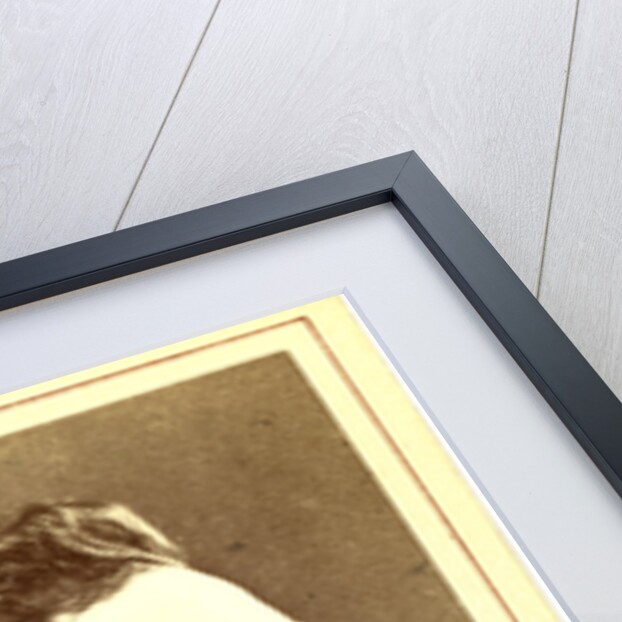 Vsevolod Vladim irovich Krestockii by Anonymous