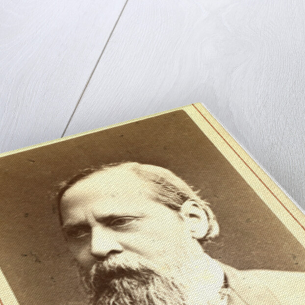 Mikhail Evgrafovich Saltykov-Shchedrin by Anonymous