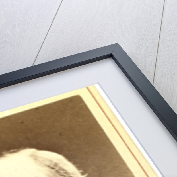 Mikhail Evgrafovich Saltykov-Shchedrin by Anonymous