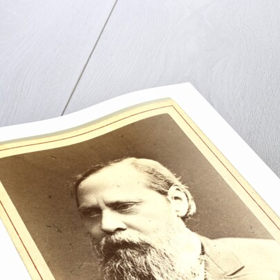 Mikhail Evgrafovich Saltykov-Shchedrin by Anonymous