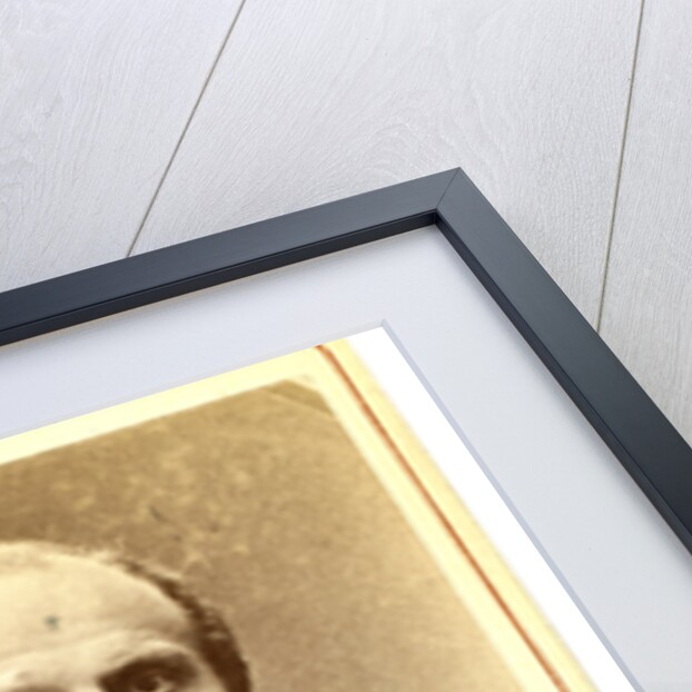 Nikola i Karlovich Girs by Anonymous