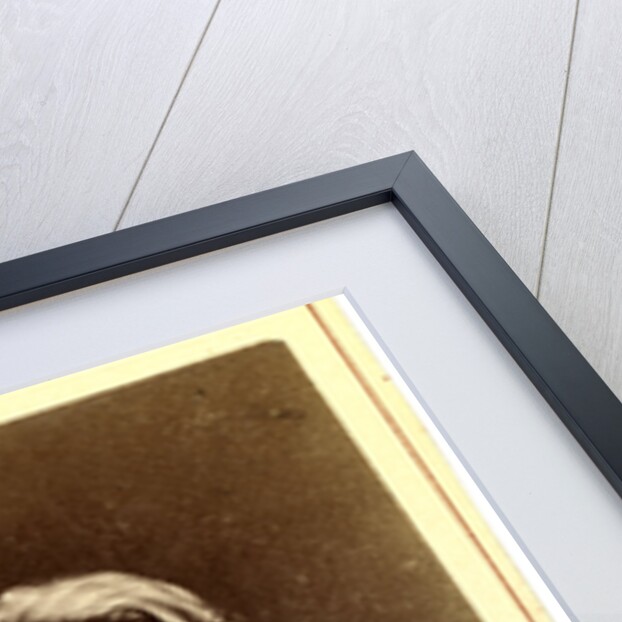 Potekhin by Anonymous