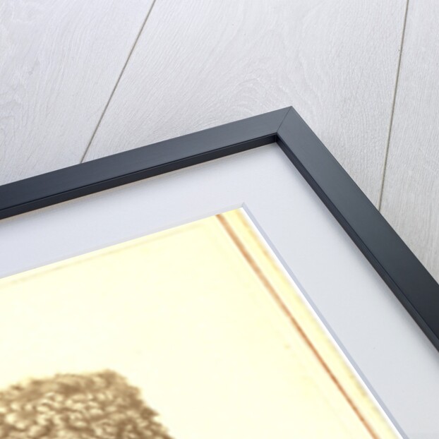 Taras Shevchenko by Anonymous