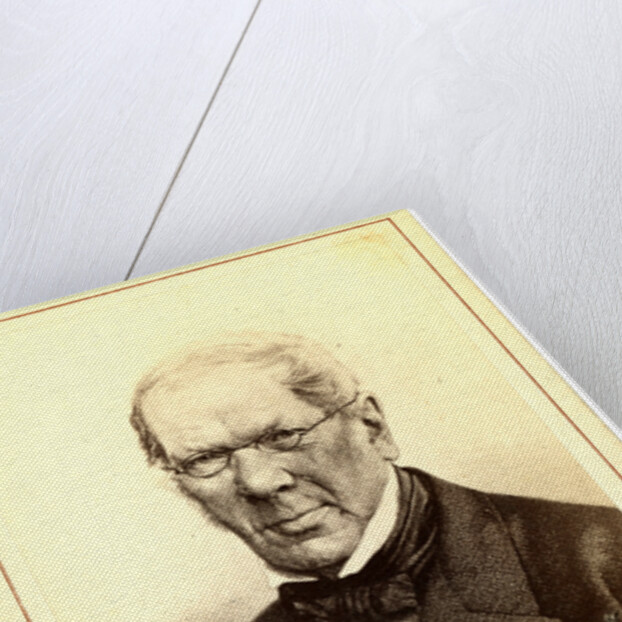 Petr Andreevich Vi a zemskii by Anonymous