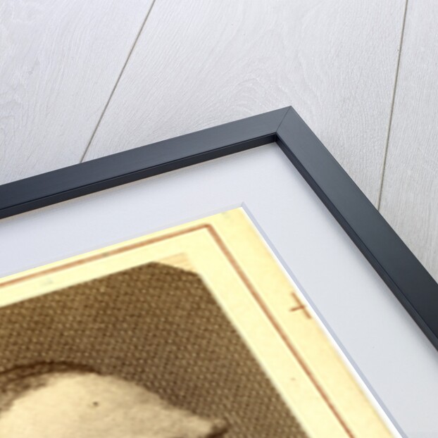 Jozef Ignacy Kraszewski by Anonymous