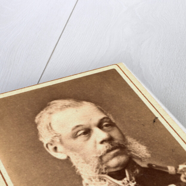 Nikola'i Alekseevich Miliutin by Anonymous