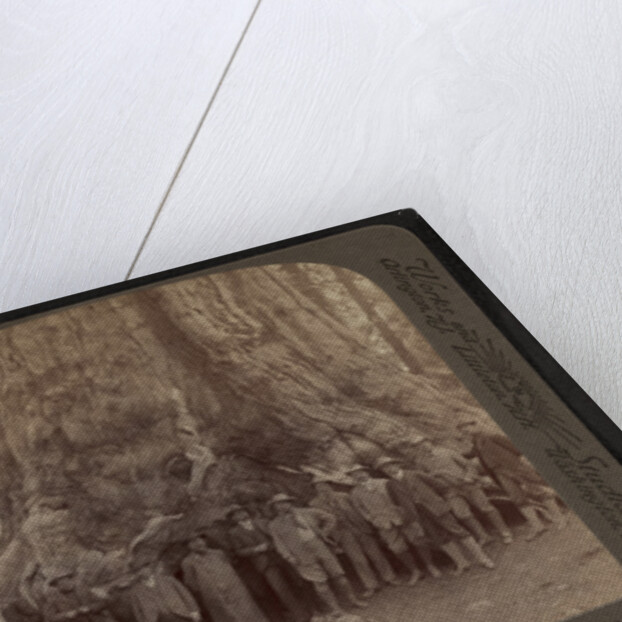 Theodore Roosevelt and his distinguished party, before the Grizley Giant, big trees of California by Anonymous