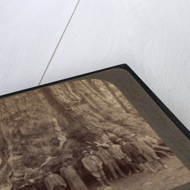 Theodore Roosevelt and his distinguished party, before the Grizley Giant, big trees of California by Anonymous