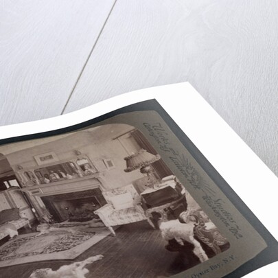 President Roosevelt's reception room at Sagamore Hill, Oyster Bay, N.Y by Anonymous