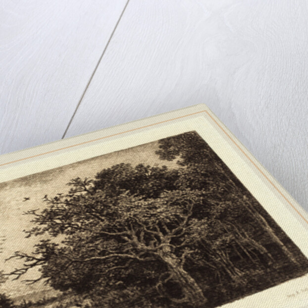 Marsh (Le Marais), probably 1851 by Charles-François Daubigny