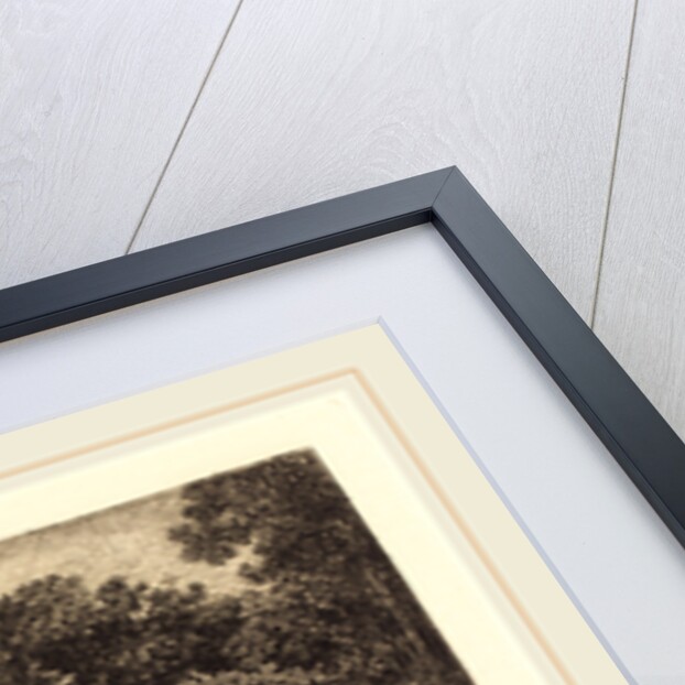 Marsh (Le Marais), probably 1851 by Charles-François Daubigny