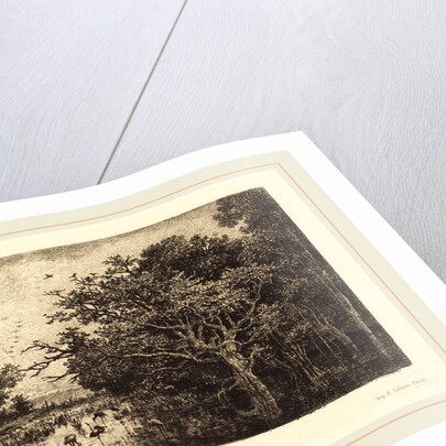 Marsh (Le Marais), probably 1851 by Charles-François Daubigny