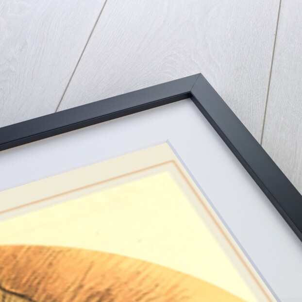 Fan by Jean-Louis Forain