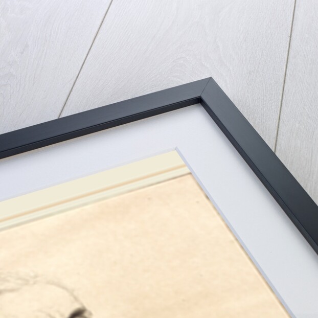 Large Spaniard by Alphonse Legros