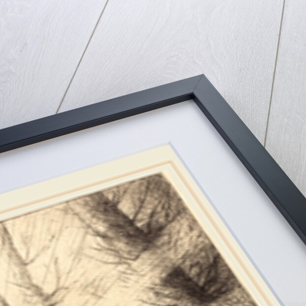 Death and the Woodcutter, 2nd plate by Alphonse Legros