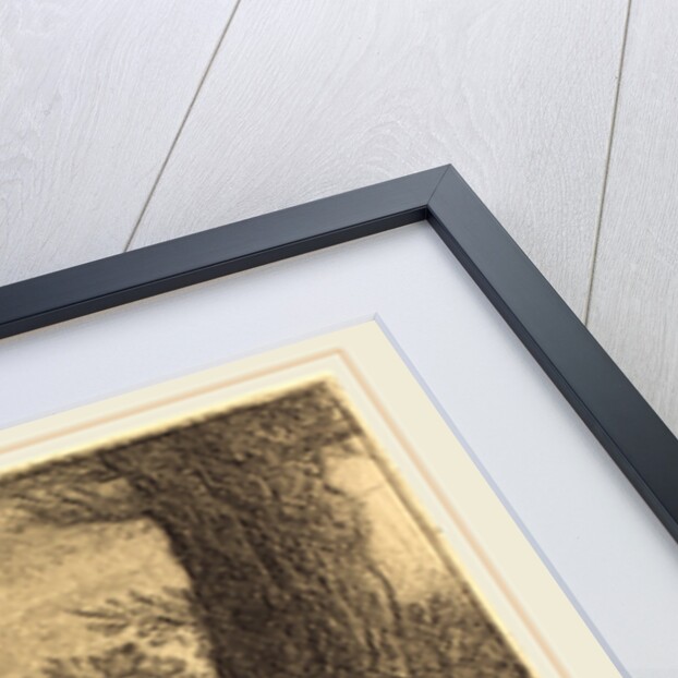 Fisherman with a Hoop-net by Alphonse Legros