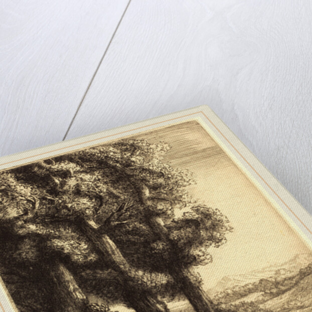 Corner of a Wood by Alphonse Legros