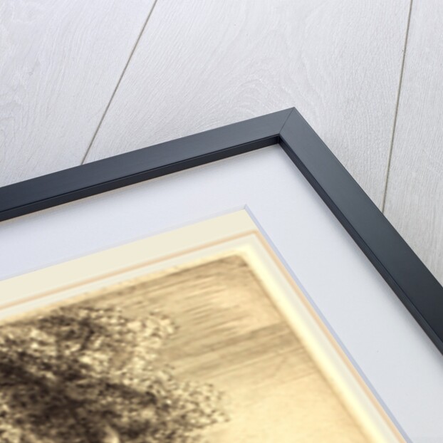 Corner of a Wood by Alphonse Legros