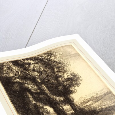 Corner of a Wood by Alphonse Legros