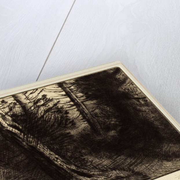 Path through the Woods by Alphonse Legros