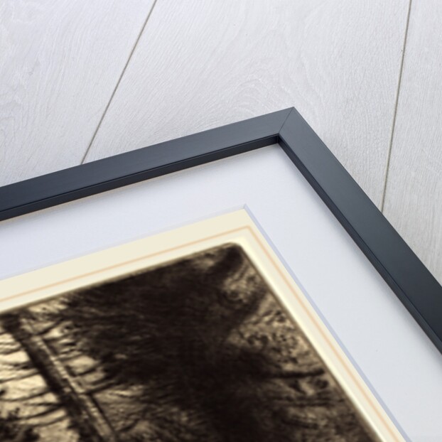 Path through the Woods by Alphonse Legros