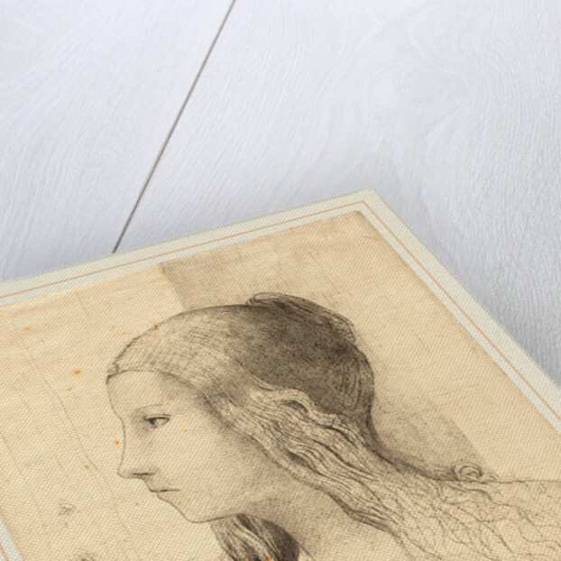 Brunnhilde, 1894 by Odilon Redon