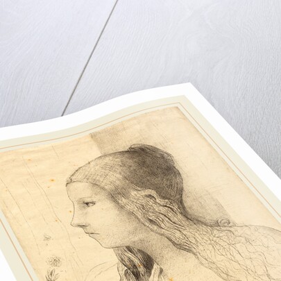 Brunnhilde, 1894 by Odilon Redon